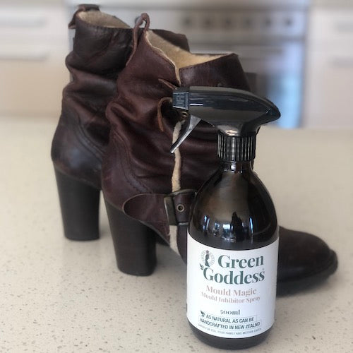 mould magic cleans boots