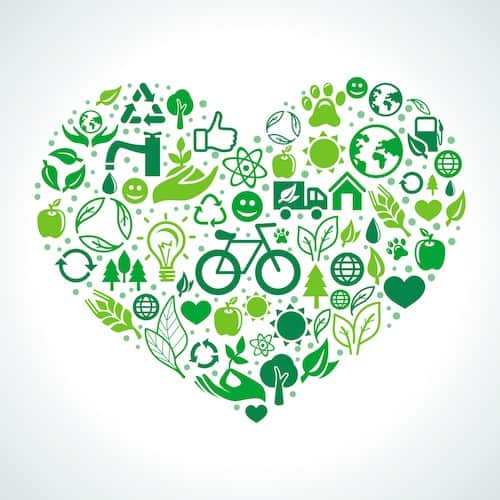 Eco-Friendly Steps The Whole Family Can Take