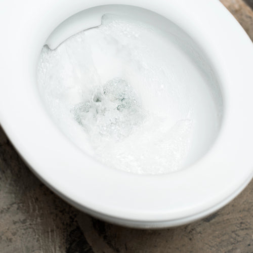 DIY Lemon Toilet Cleaner