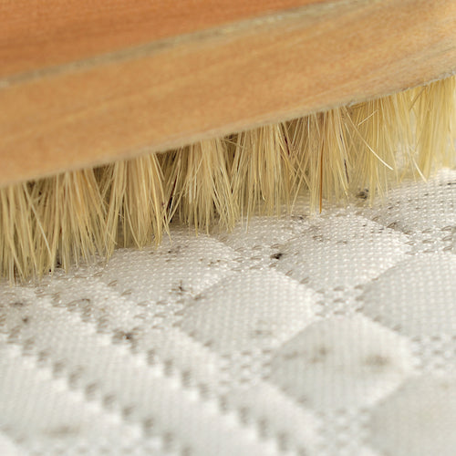 remove mould with borax