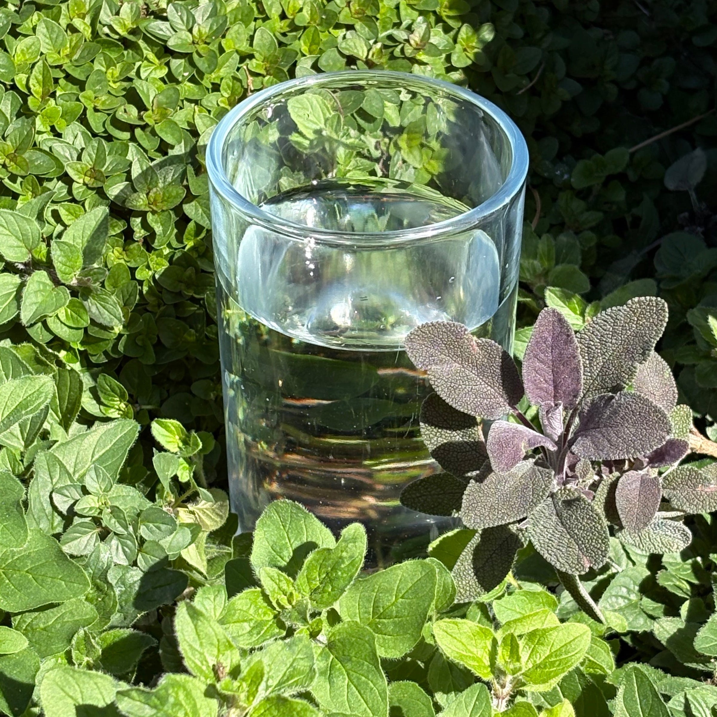 Clean Drinking Water… from Thin Air