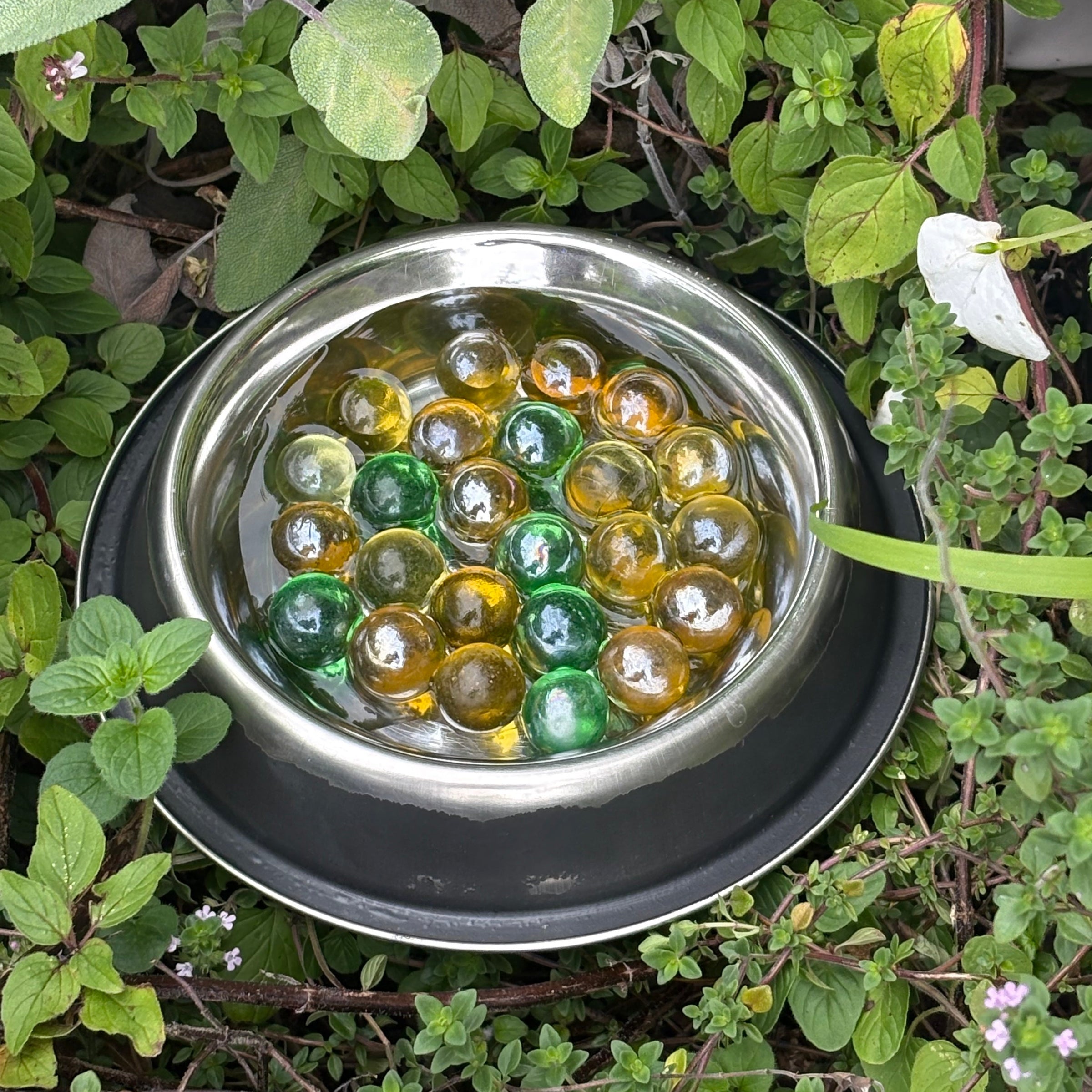 Make A Bee Water Drinking Station