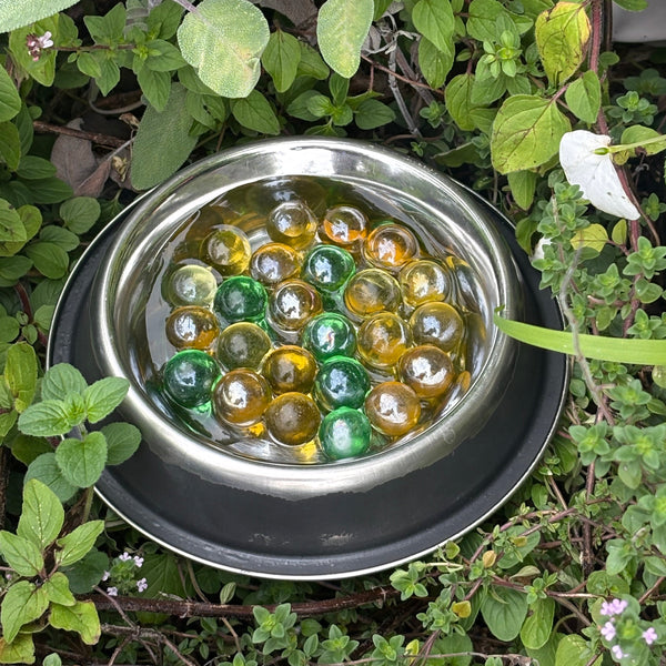 Make A Bee Water Drinking Station