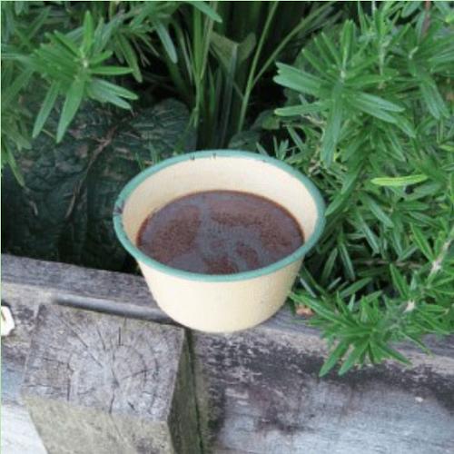DIY Natural Herbal Shampoo
