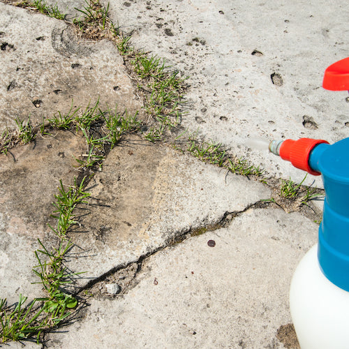 DIY weed spray