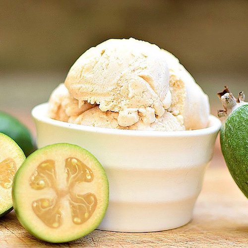 dairy free feijoa ice cream