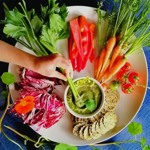 Green Goddess Dip made with edible weeds