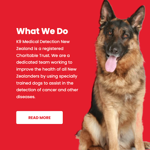 K9 Medical Detection Cancer