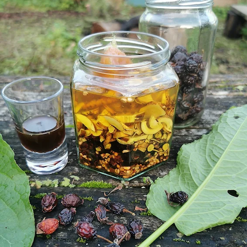 Liver tonic dock