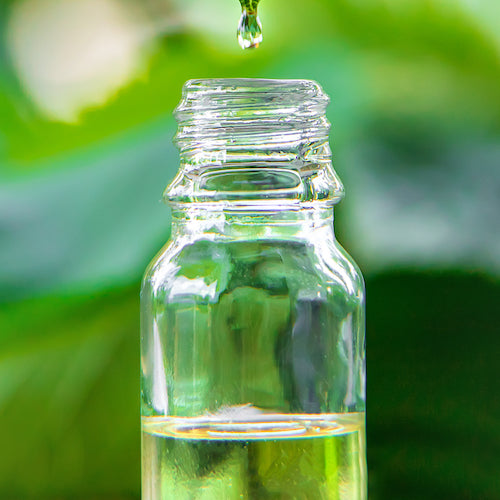 Neem Oil: Great for your Home and Garden