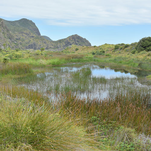 Pararaha Bay lake at Whatipu Reserve