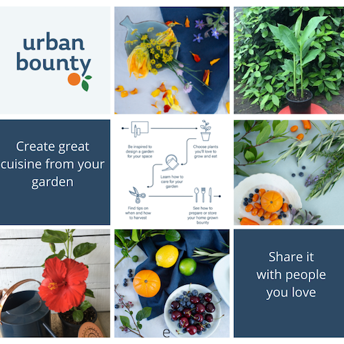 Urban Bounty giveaway voucher
