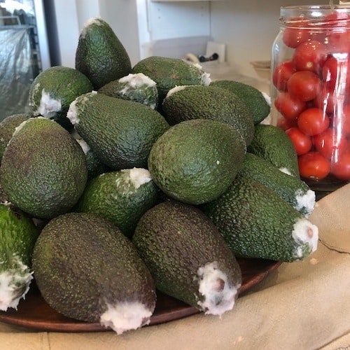 Clever Avocado Hack