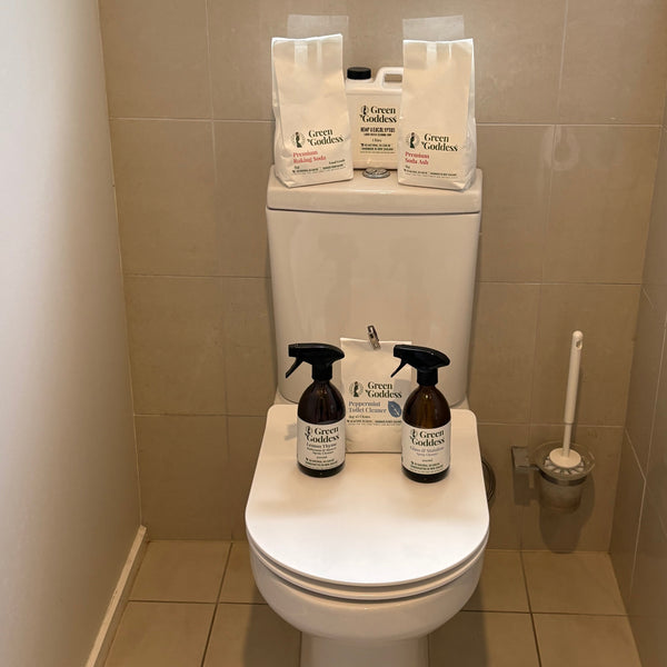 Healthy Bathroom Checklist