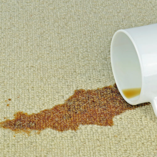 Carpet Stain Removal Guide