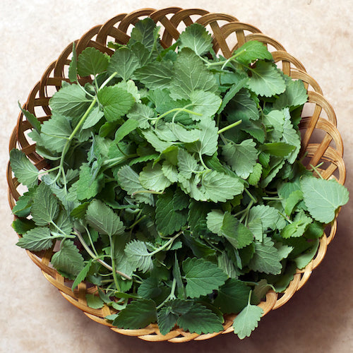 catnip in wicker bowl