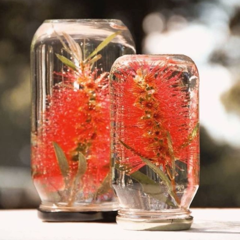 Christmas jars bottle brush
