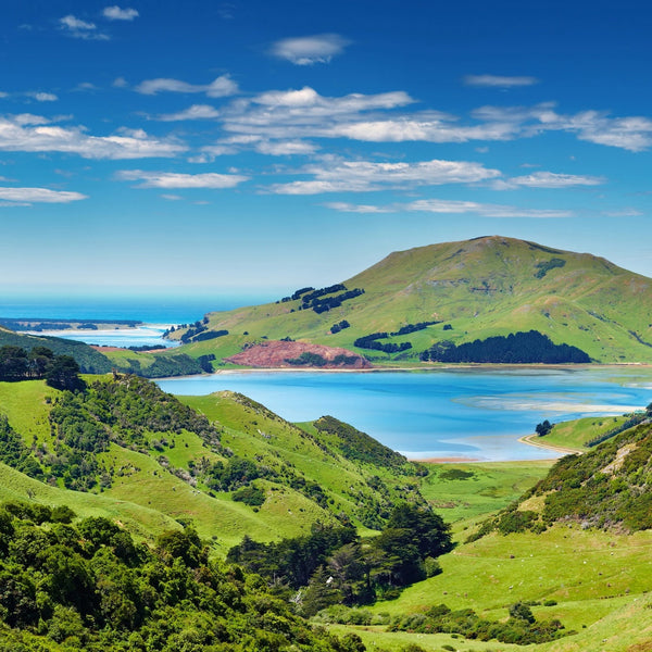 Are You Concerned About the Conservation Amendment Bill