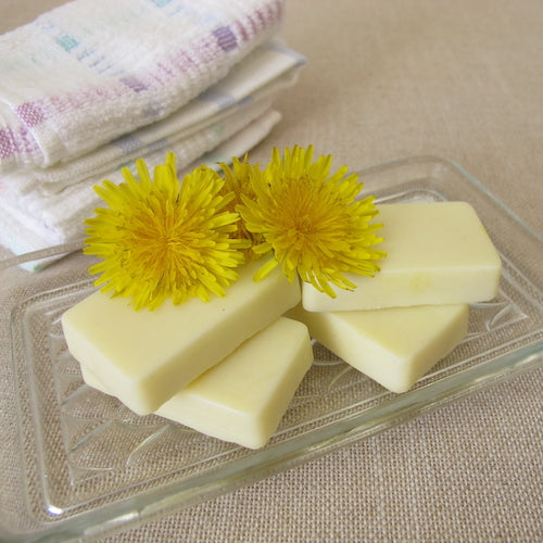DIY Dandelion Body Butter Bars