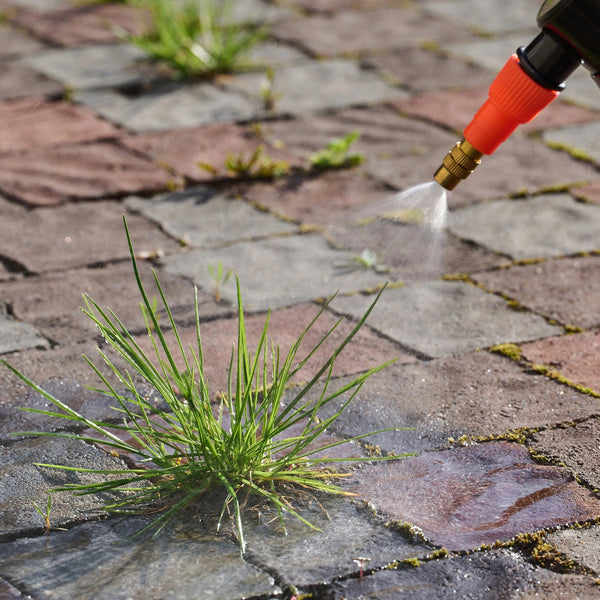Easiest Ever Weed Killer