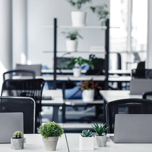 Coworking eco-office