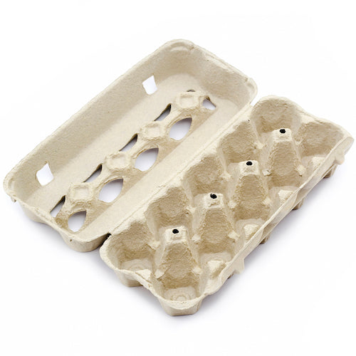 Empty egg carton