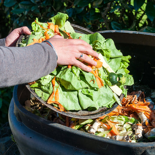 food waste compost