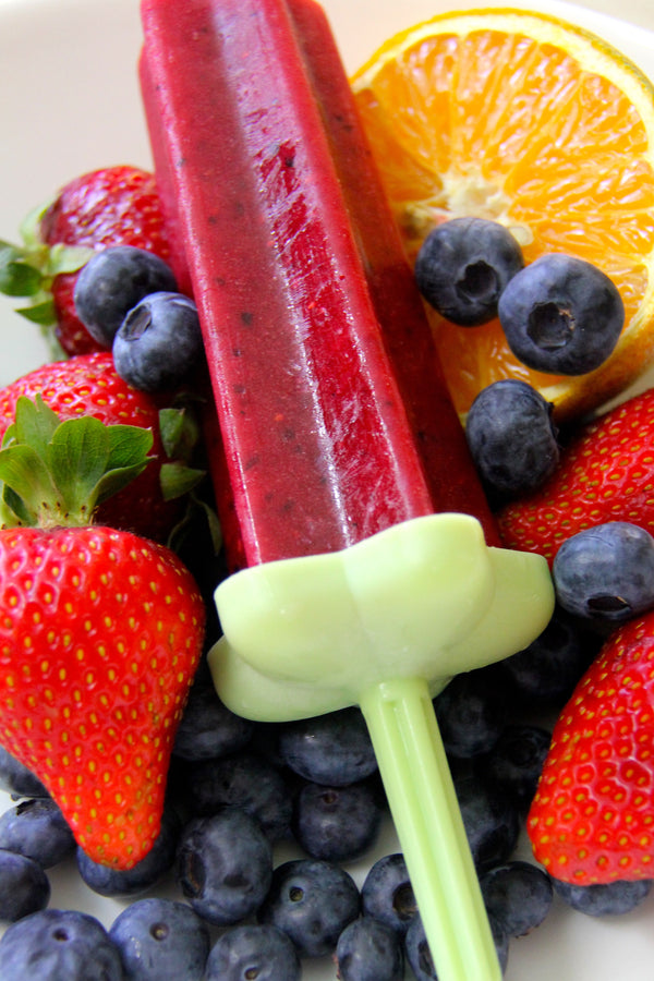 Homemade Fruit Ice Blocks