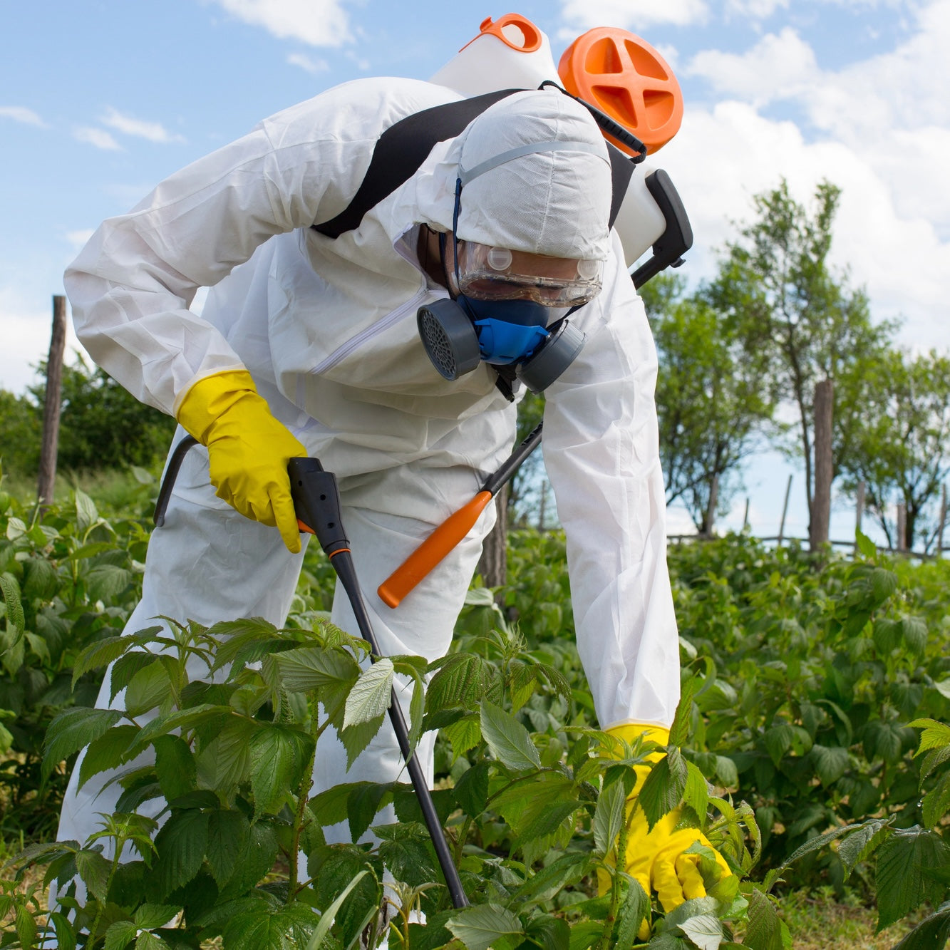 Glyphosate And Your Food