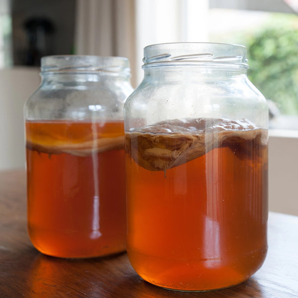 Kombucha or Conbucha?