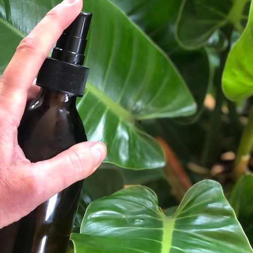 DIY Natural Leaf Shine