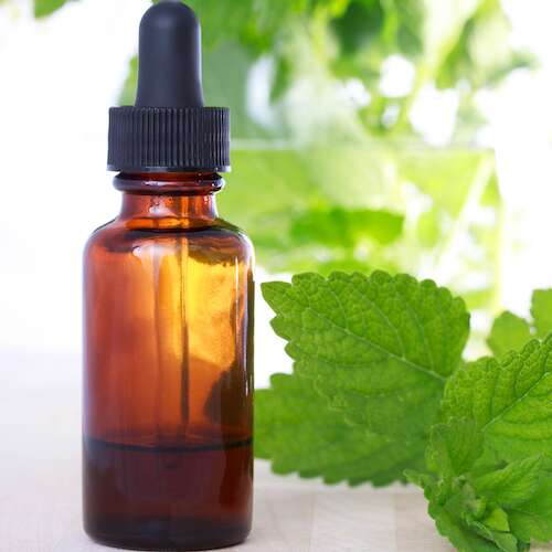lemon balm tincture with lemon balm herbs