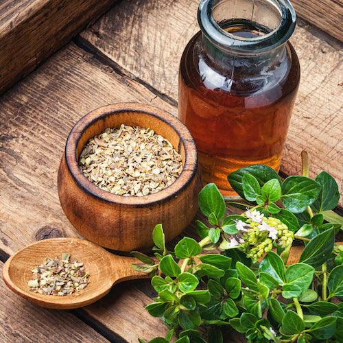 Oil of oregano