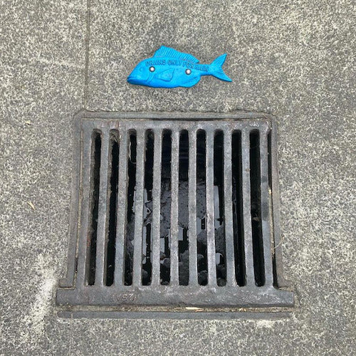 only rain go down the drain