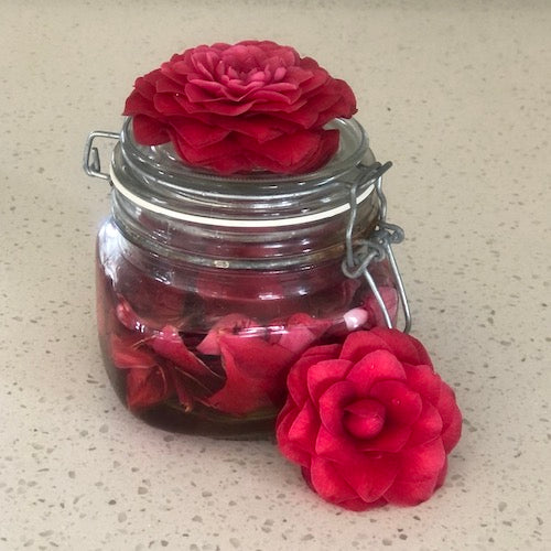 pickled camellia petals