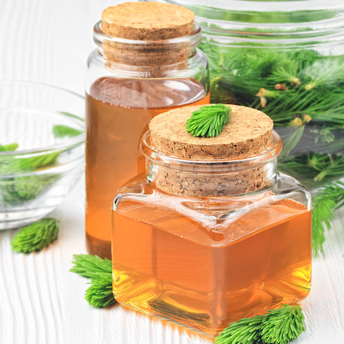 Homemade pine cough syrup for dry irritating throat coughs