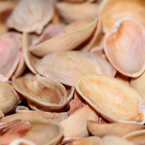 Pistachio Shells Are Great for Pot Plants!
