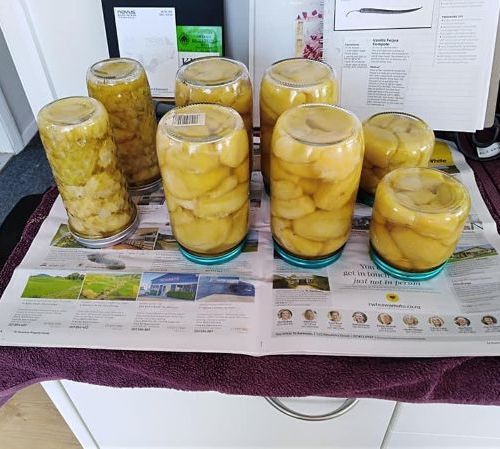 preserved-feijoa