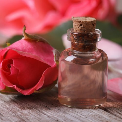 DIY Pure Rose Oil