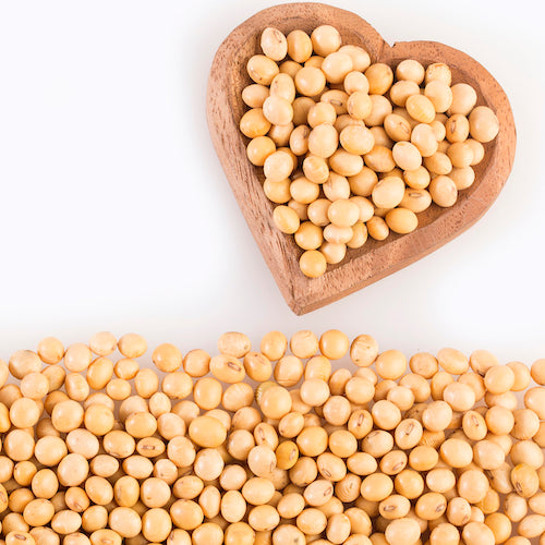 soy bean heart