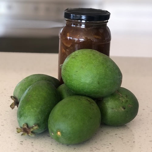 spiced feijoa chutney