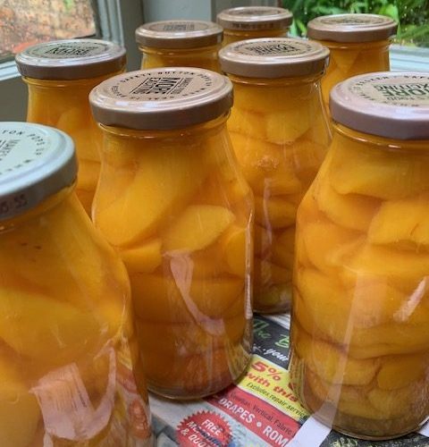 Over Flow Preserving with Trisha