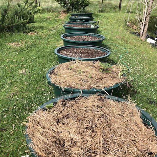 wicking garden beds at Dune Lakes Lodge