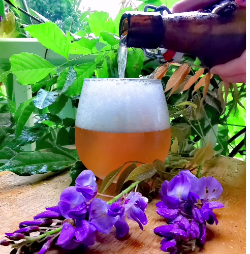 Anna Valentines Wisteria Fizzy Drink
