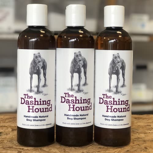 The Dashing Hound group