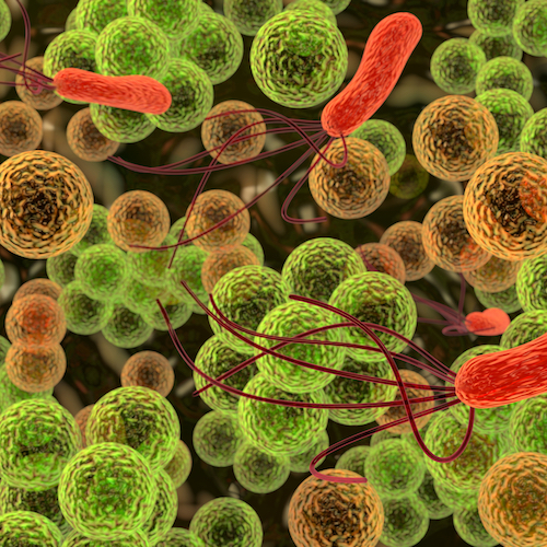 illustration of colorful bacteria