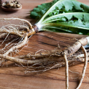 Dandelion roots for coffee