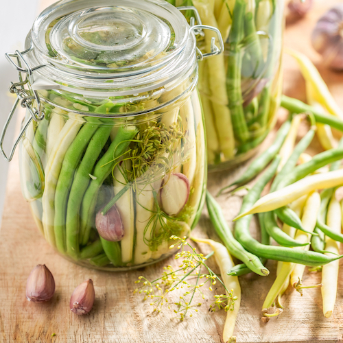 spicy dill pickled beans