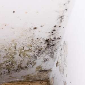 mould in corner of a room