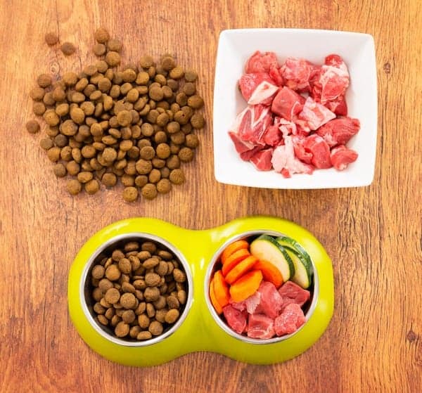 Natural food in a bowl as opposite of dry dog'd food